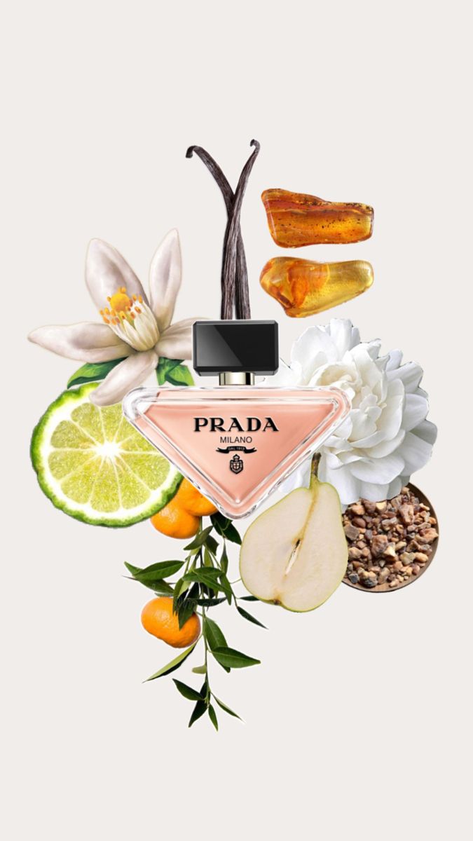 Prada paradoxe